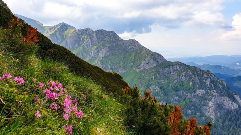 Destinații ideale pentru iubitorii de natură și fotografie