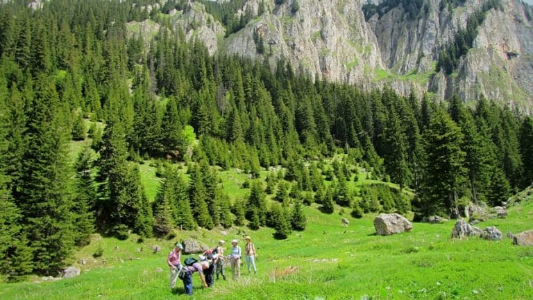 Cum să ții copiii fericiți și activi: Activități în aer liber în România Cum să ții copiii fericiți și activi