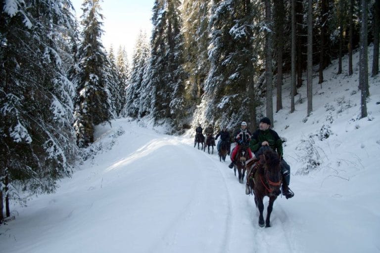 Drumeții cu cai în Bucovina: Aventură, Natură și Tradiție Drumeții cu cai în Bucovina