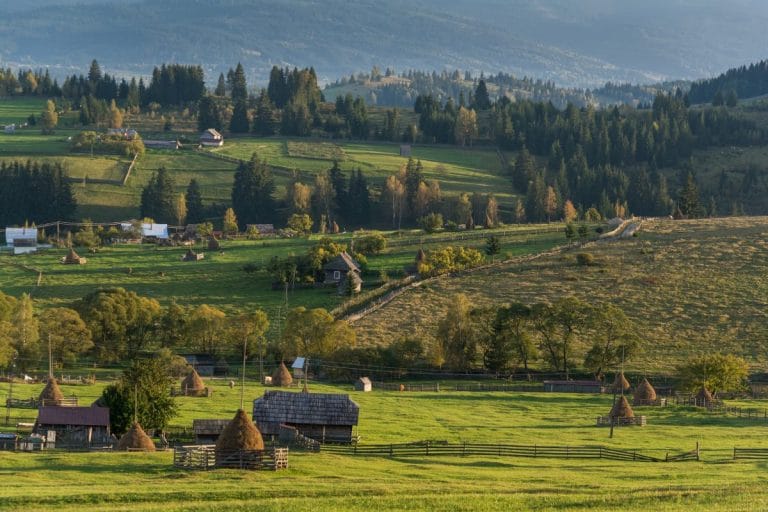 Ecoturism în România: Trasee și Experiențe Naturale pentru Aventurieri Ecoturism în România