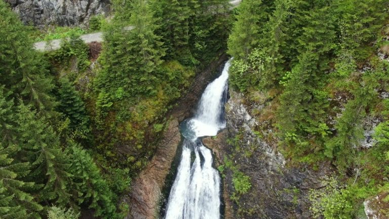 Viața sălbatică din Carpații Meridionali – safari montan Viața sălbatică din Carpații Meridionali – safari montan