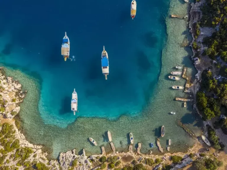 Analiză aplicații de meditație și wellness